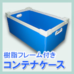 ReiP[X(Œ莮j